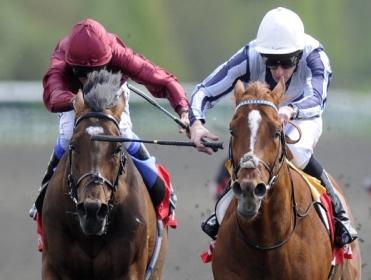 Timeform bring you three bets from Lingfield